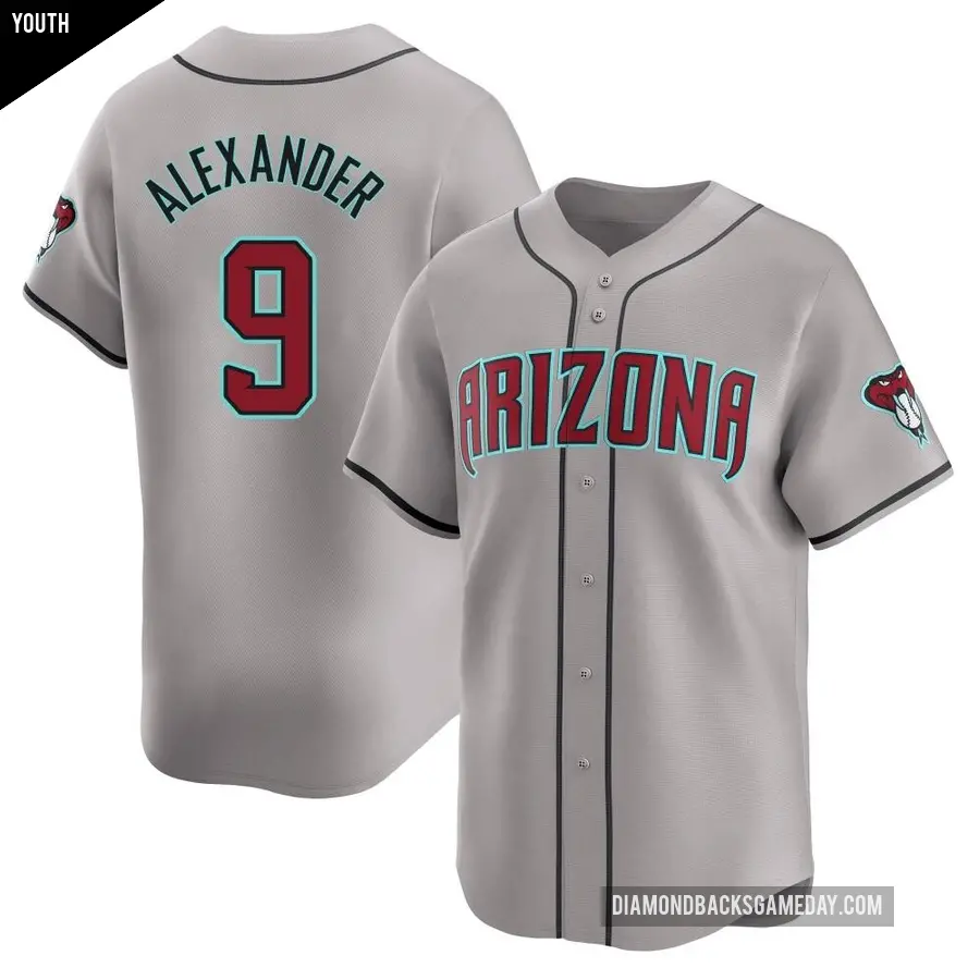 Youth Arizona Diamondbacks ＃9 Blaze Alexander Limited Gray Away Jersey